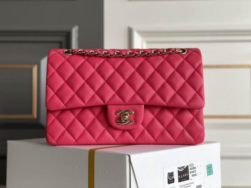 Chanel Handbags 424